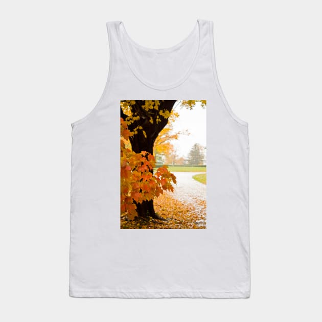 Fall Colors Tank Top by vadim19